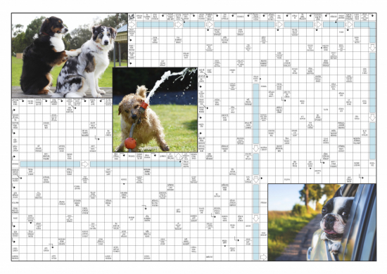 Korsordsposter hundar 1